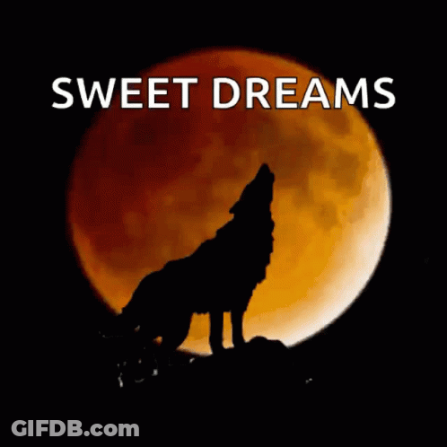 Wolf Howling At Moon Sweet Dreams GIF