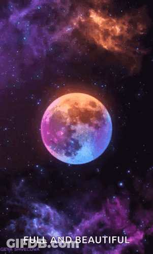 Wolf Howling At Moon With Flying Hamburger GIF
