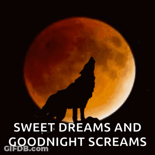 Wolf Howling At Moon With Sweet Dreams GIF
