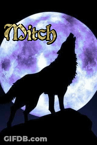 Wolf Howling At Purple Moon GIF