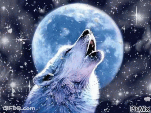 Wolf Howling At The Moon GIF