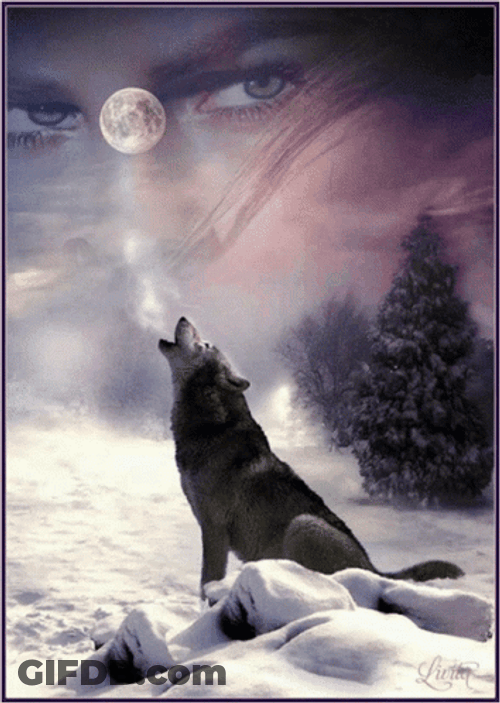 Wolf Howling Cool Animation Face In The Sky GIF
