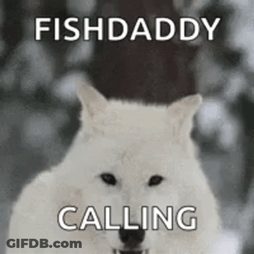 Wolf Howling Fish Daddy Calling GIF