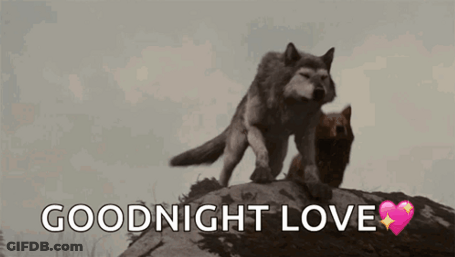 Wolf Howling Good Night Love GIF