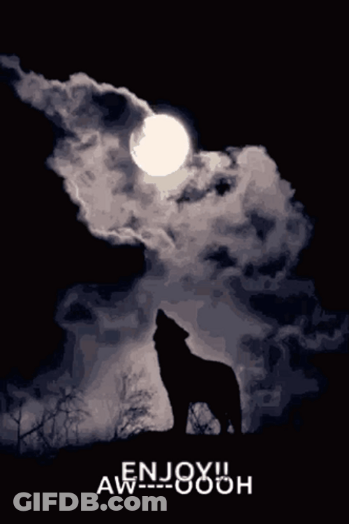 Wolf Howling In The Moon Enjoy GIF