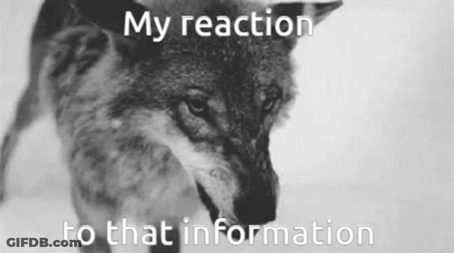 Wolf Howling My Reaction To That Information GIF