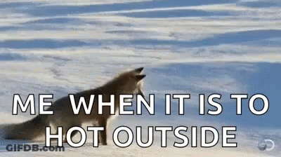 Wolf Howling Snow Me When It Is To Hot Outside GIF