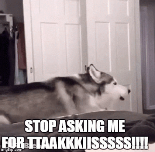 Wolf Howling Stop Asking Me For Takis GIF