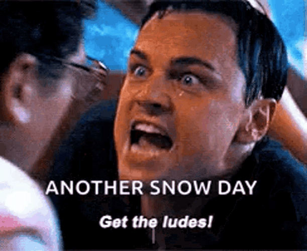 Wolf Of Wall Street Another Snow Day GIF