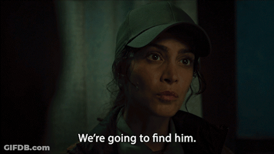 Wolf Pack Hollie Bahar GIF
