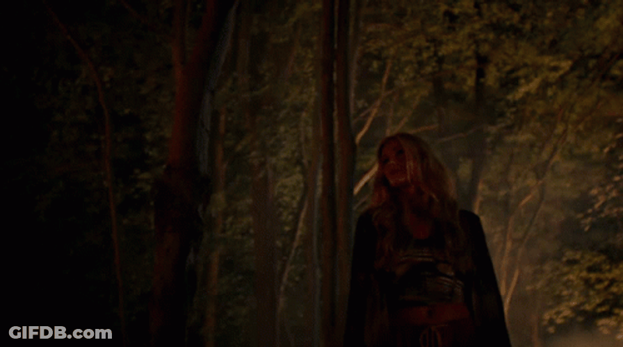 Wolf Pack Luna Looking Around GIF