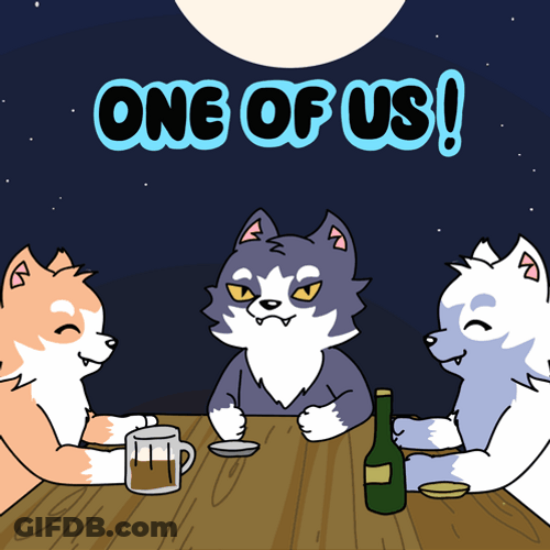 Wolf Pack One Of Us GIF
