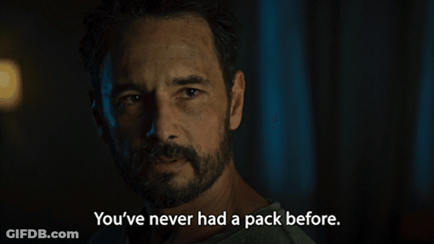 Wolf Pack Rodrigo Santoro GIF