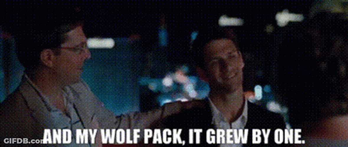 Wolf Pack The Hangover GIF