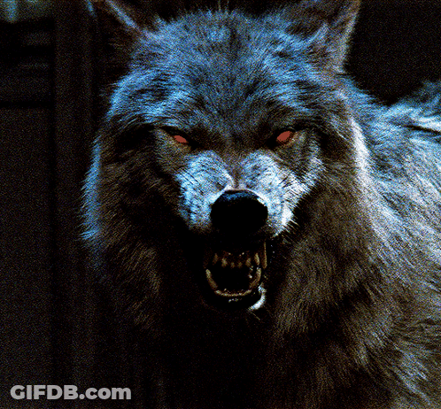 Wolf Painting Saying Good Night Sigma Pack GIF