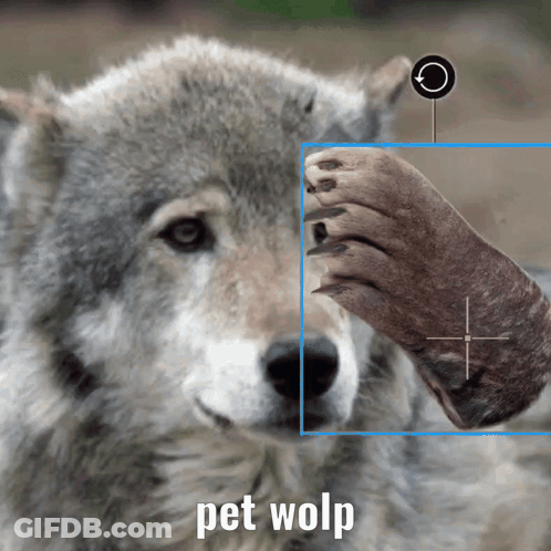 Wolf Paw With Text Pet Wolp GIF