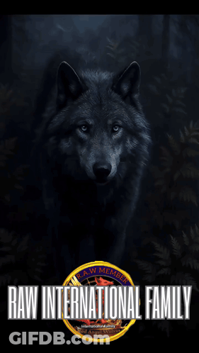 Wolf Poster Raw International Family GIF