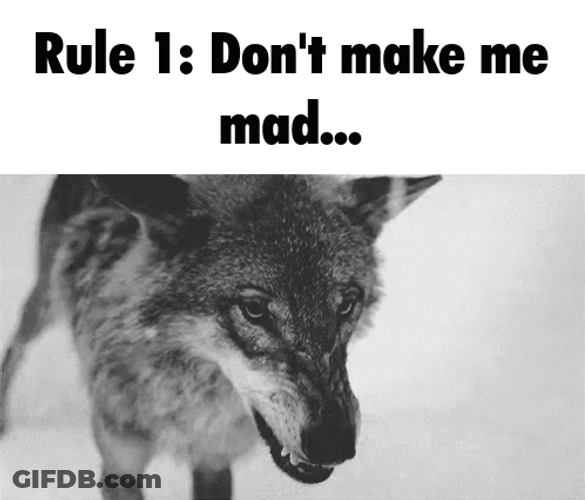 Wolf Rule Don't Make Me Mad GIF
