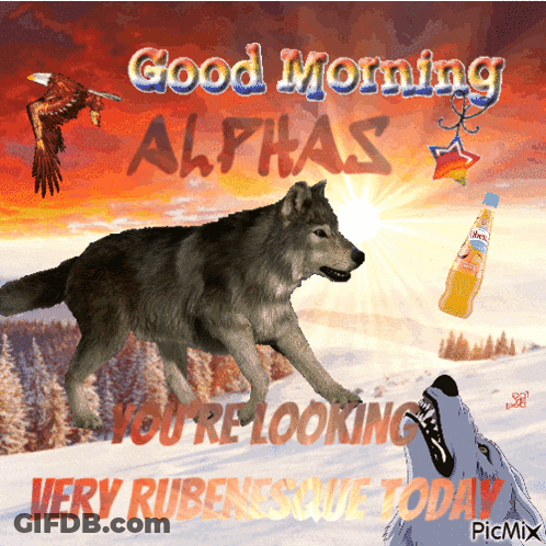 Wolf Saying Good Morning Alphas GIF