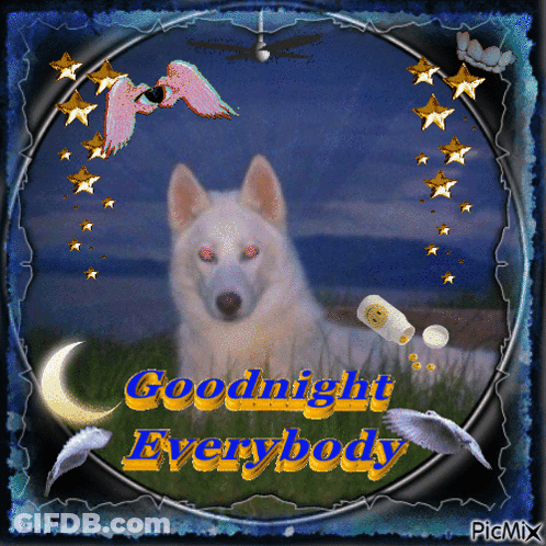 Wolf Saying Goodnight Everybody GIF