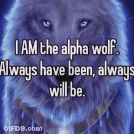 Wolf Saying I Am The Alpha Wolf Always Have Been Always Will Be GIF