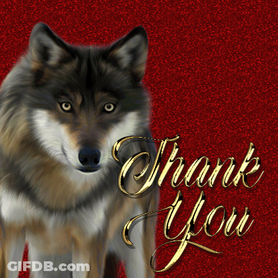 Wolf Saying Thank You GIF