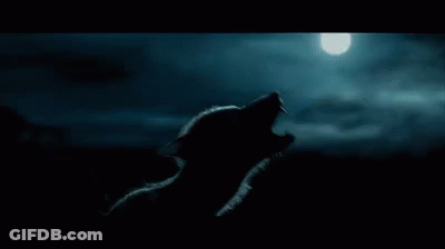 Wolf Silhouette Howling At Moon GIF