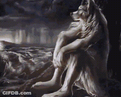 Wolf Sitting On Bed Looking Out Window GIF