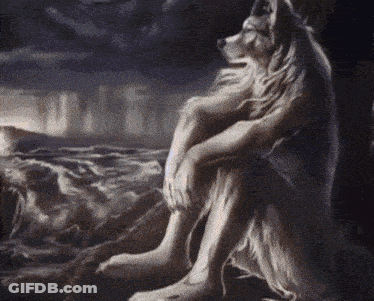Wolf Sitting On Ground GIF