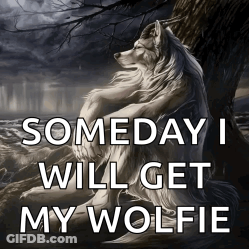 Wolf Sitting Under Tree Saying Someday I Will Get My Wolfie GIF
