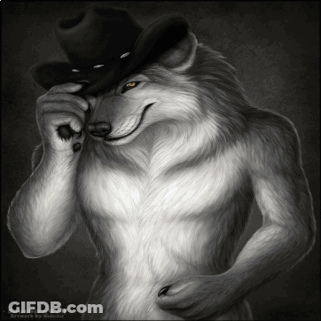 Wolf Wearing Cowboy Hat GIF