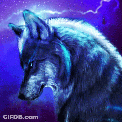 Wolf With Blue Eyes And Blue Background GIF