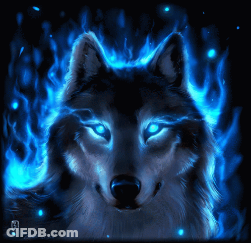 Wolf With Blue Flames GIF