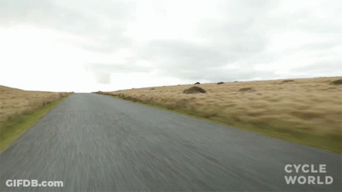 Wolf With Red And White Face GIF