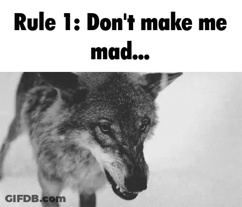 Wolf With Rule 1 Don't Make Me Mad GIF