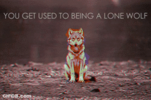 Wolf You Get Used To Being A Lone Wolf GIF