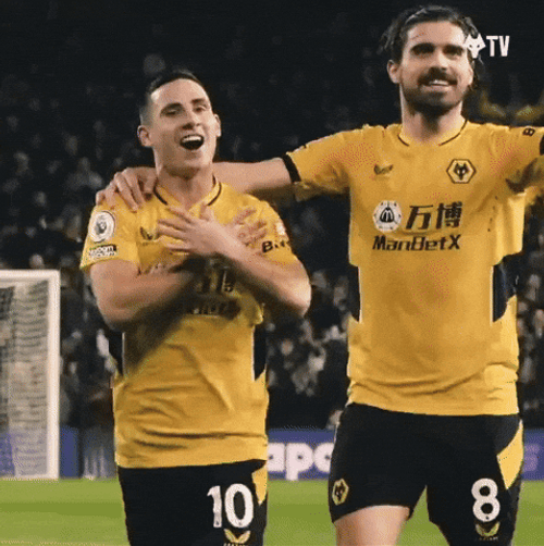 Wolverhampton Wanderers Joe Hodge Punching Air GIF
