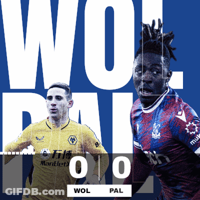 Wolverhampton Wanderers Vs Crystal Palace First Half GIF