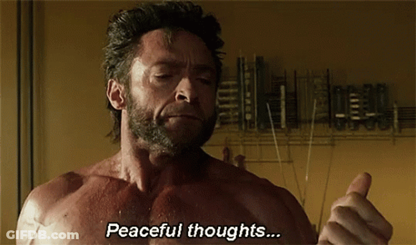 Wolverine Calm Peaceful Thoughts GIF