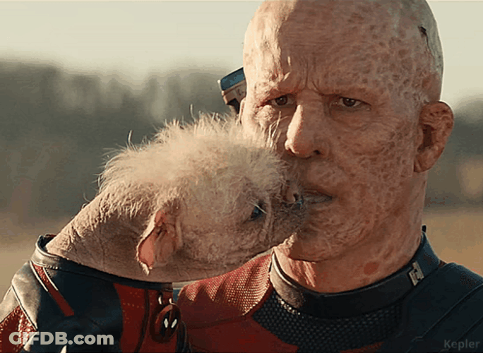 Wolverine Kissing Dogpool GIF