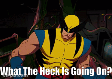 Wolverine What The Heck Is Going On GIF