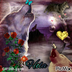 Wolves Howling Hola GIF