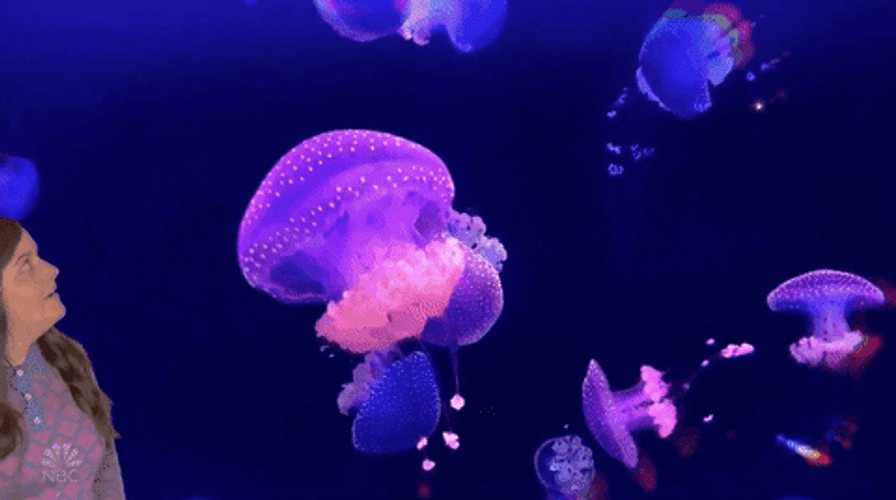Woman Amazed At Jellyfish GIF