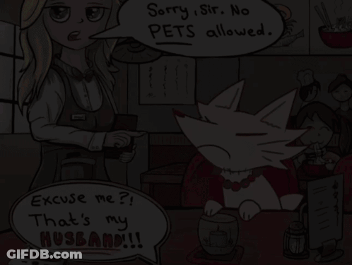 Woman And Cat With Speech Bubble Saying Sorry Sir No Pets Allowed GIF