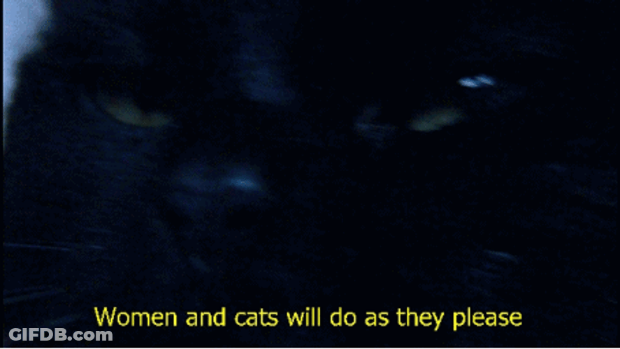 Woman And Cats Facts GIF