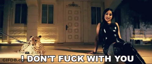 Woman And Cheetah On Leash I Don't Fuck With You GIF