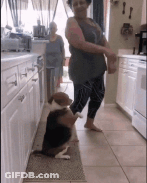 Woman And Dog Dancing GIF