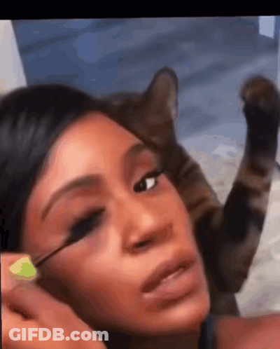 Woman Applying Mascara With Cat On Face GIF