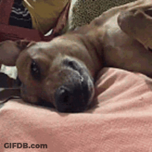 Woman Asking To Ride Back GIF