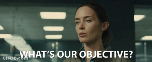 Woman Asks What's Our Objective GIF